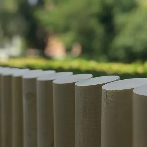 Raftehegn uden bark